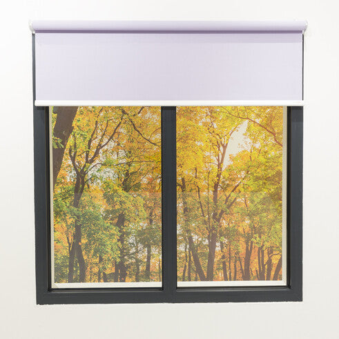 Roller Blind with Braked Spring - GS Blinds & Awnings South West Ltd